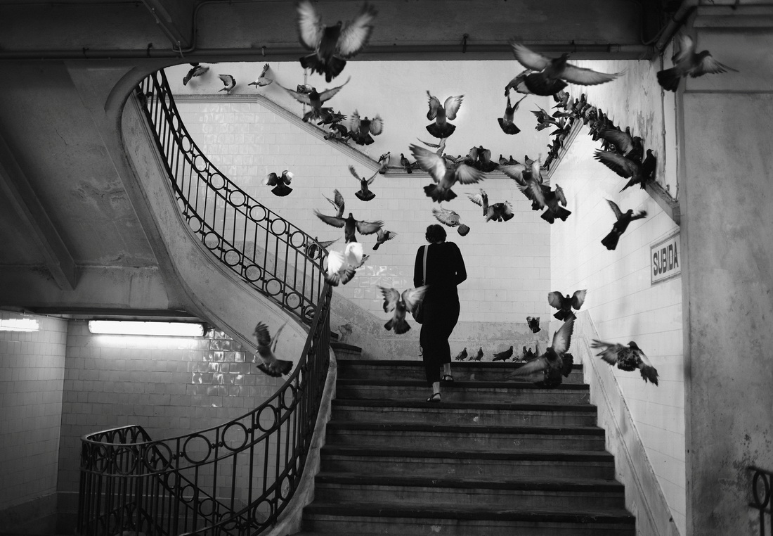 The-Best-Street-Photographer-in-Portugal-Rui-Palha