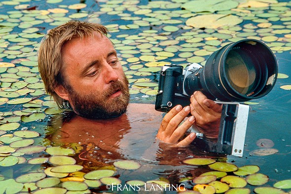 frans-lanting